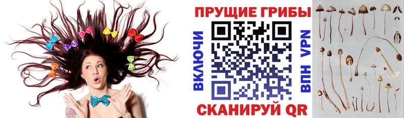 Галлюциногенные грибы Magic Shrooms Кораблино